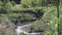 Boydtown Creek, a Wisconsin trout stream in Crawford County.