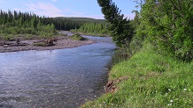 Fishing Berland River, Alberta