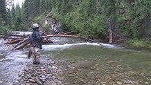 Fishing Little Berland River, Alberta