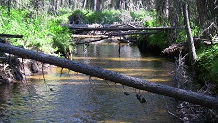 Fishing Little Smokey River, Alberta