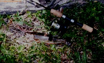 10 inch brook trout from Huerophano River