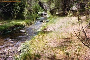 in Colorado
