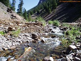in Colorado