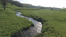 Copper Creek, near Madison, WI