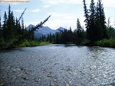 Belly River in Glacier National Park