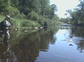 NW Wisconsin smallmouth bass stream