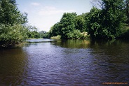 Milwaukee River 