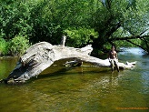 Milwaukee River 