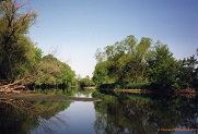 Milwaukee River 