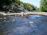 Milwaukee River 
