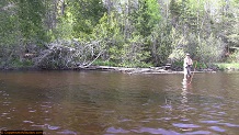 Trout stream in Michigan upper peninsual