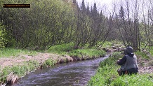 Trout stream in Michigan upper peninsual