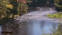 Trout stream in Michigan upper peninsual