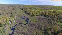 Trout stream in Michigan upper peninsual