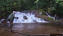 Trout stream in Michigan upper peninsual