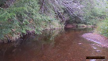 Trout stream in Michigan upper peninsual