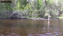 Trout stream in Michigan upper peninsual