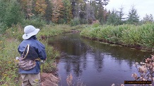 Trout stream in Michigan upper peninsual