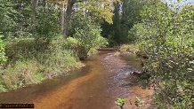 Trout stream in Michigan upper peninsual