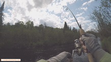 Trout stream in Michigan upper peninsual