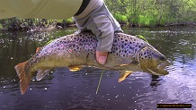 Trout stream in Michigan upper peninsual