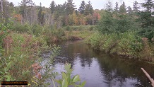 Trout stream in Michigan upper peninsual