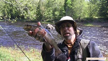 Trout stream in Michigan upper peninsual