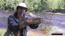 Trout stream in Michigan upper peninsual