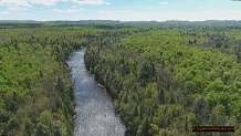 Trout stream in Michigan upper peninsual