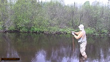 Trout stream in Michigan upper peninsual