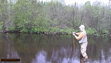 Trout stream in Michigan upper peninsual