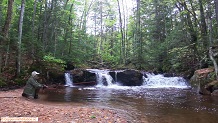 Trout stream in Michigan upper peninsual