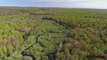 Trout stream in Michigan upper peninsual