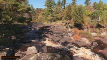 Trout stream in Michigan upper peninsual