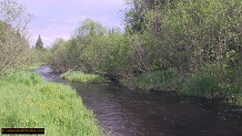 Trout stream in Michigan upper peninsual