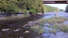 Trout stream in Michigan upper peninsual