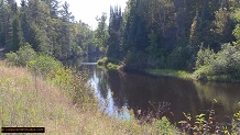 Trout stream in Michigan upper peninsual