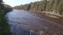 Trout stream in Michigan upper peninsual