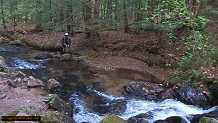 Trout stream in Michigan upper peninsual