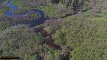 Trout stream in Michigan upper peninsual