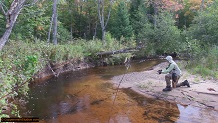 Trout stream in Michigan upper peninsual