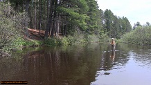 Trout stream in Michigan upper peninsual