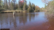 Trout stream in Michigan upper peninsual