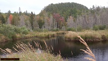 Trout stream in Michigan upper peninsual