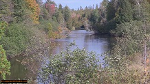 Trout stream in Michigan upper peninsual