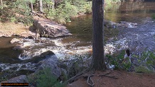 Trout stream in Michigan upper peninsual