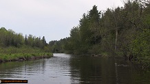 Trout stream in Michigan upper peninsual