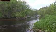 Trout stream in Michigan upper peninsual