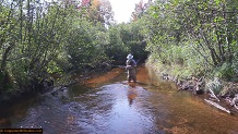 Trout stream in Michigan upper peninsual