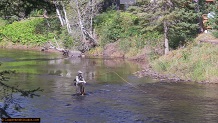 Trout stream in Michigan upper peninsual